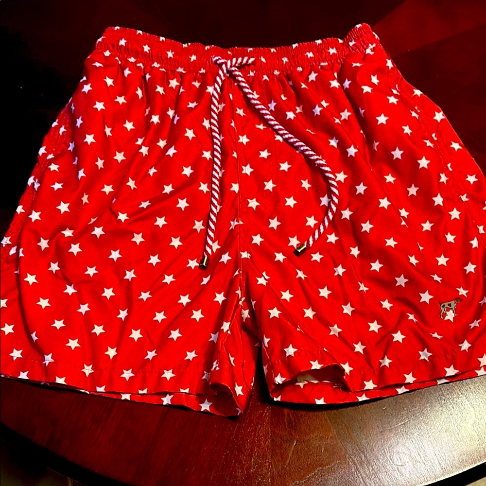 Men’s Southern Point Co. swim trunks